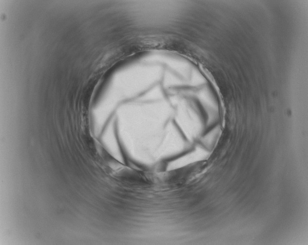 X0000074951394200609291835
