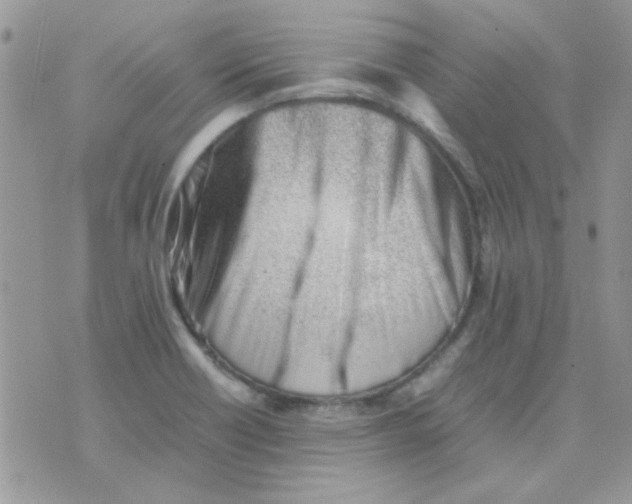 X0000074951418200609291836