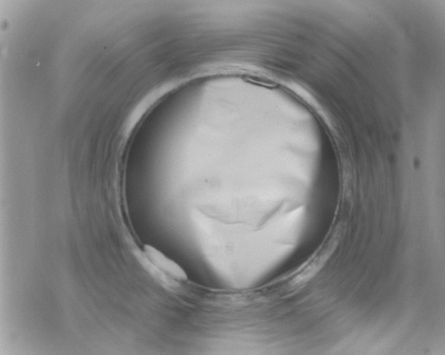 X0000074951438200609291836