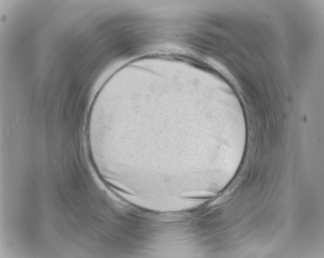 X0000074951440200609291836