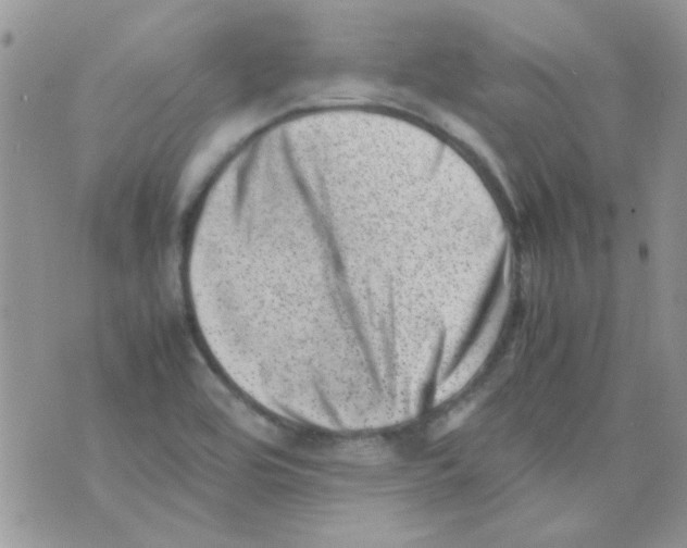 X0000074951464200609291835