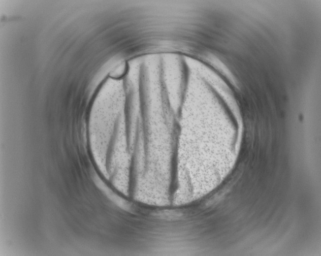 X0000074951476200609291835