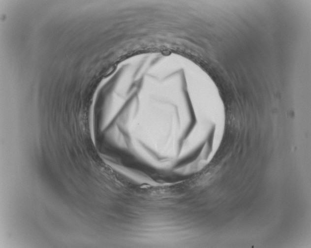 X0000074951490200609291834