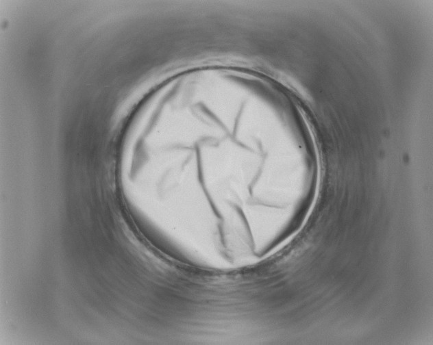 X0000074951504200609291834