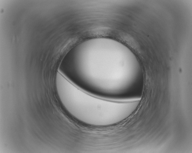 X0000074960021200609010956