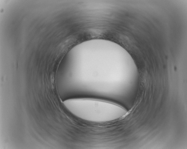 X0000074960082200609010956
