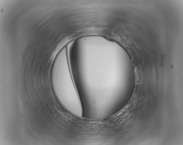 X0000074960099200609010955