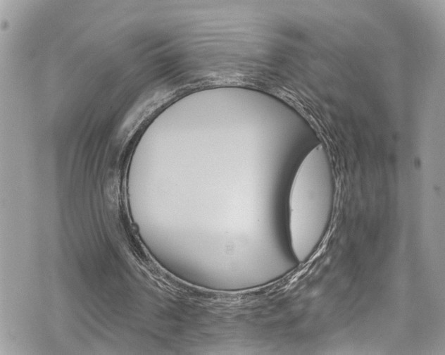 X0000074960194200609010953