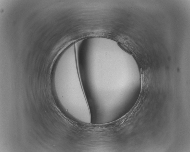 X0000074960243200609010952