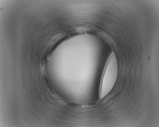 X0000074960329200609010951