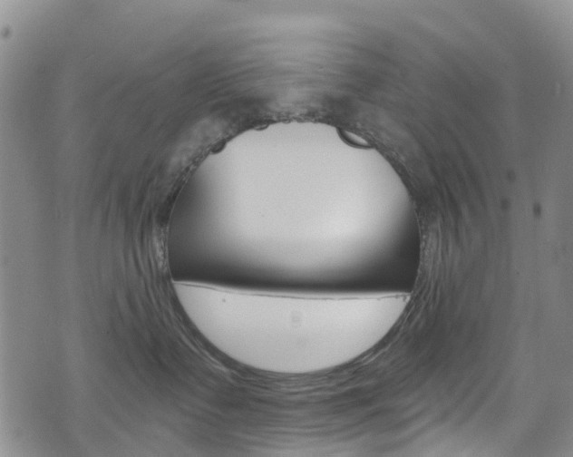X0000074960335200609010951