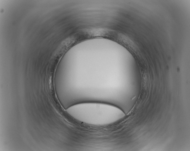 X0000074960406200609010950