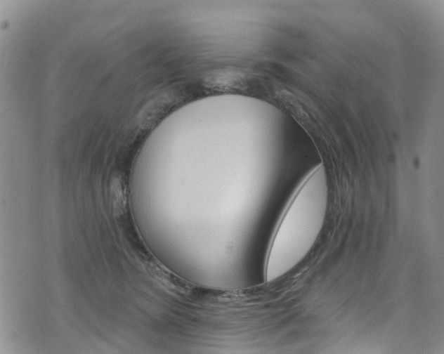 X0000074960420200609010950