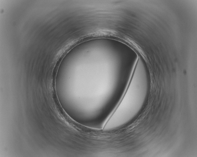 X0000074960485200609010949