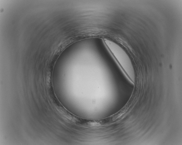 X0000074960509200609010948