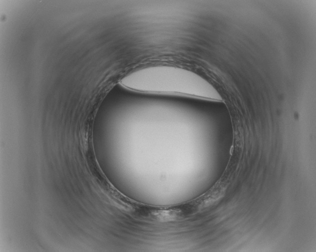X0000074960558200609010948