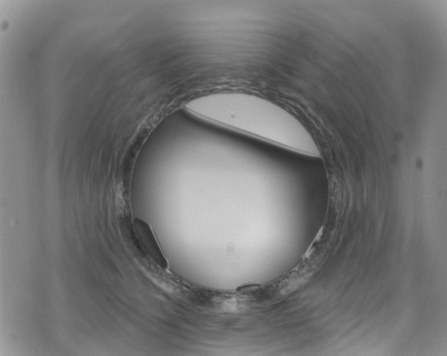 X0000074960564200609010948