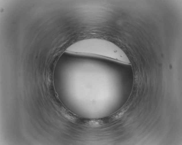 X0000074960566200609010948