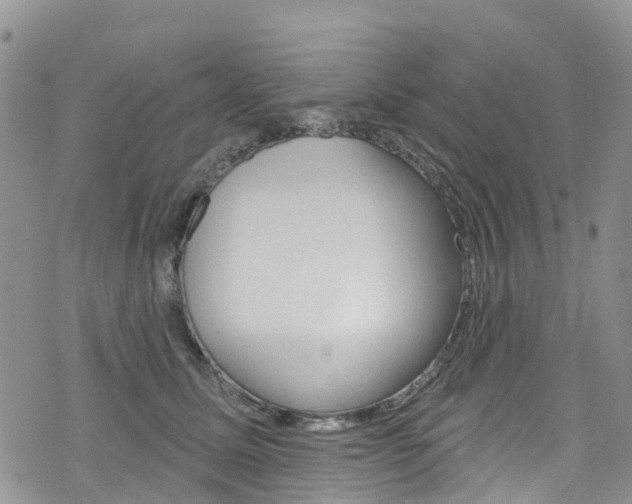 X0000074960611200609010947