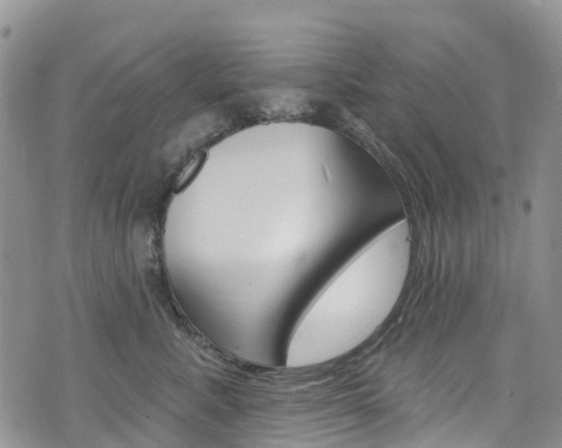 X0000074960619200609010946