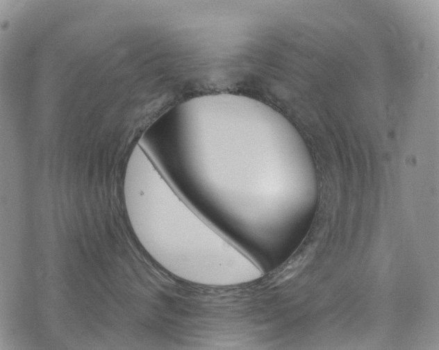 X0000074960624200609010946