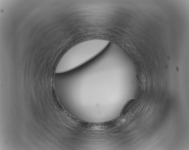 X0000074960657200609010946