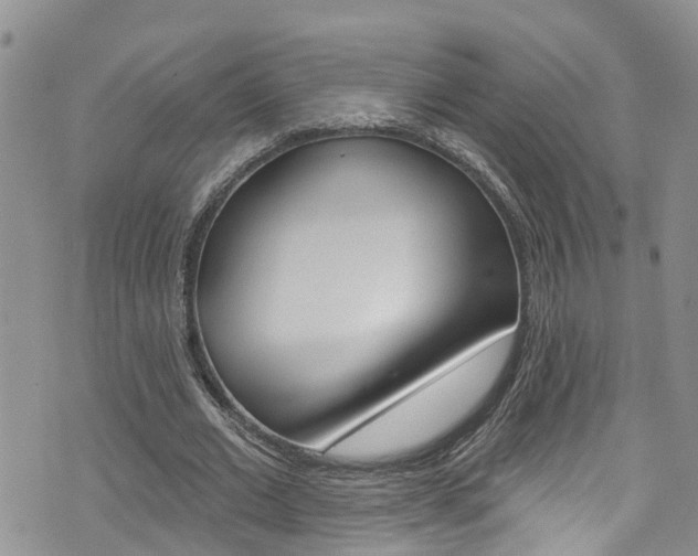 X0000074960677200609010946