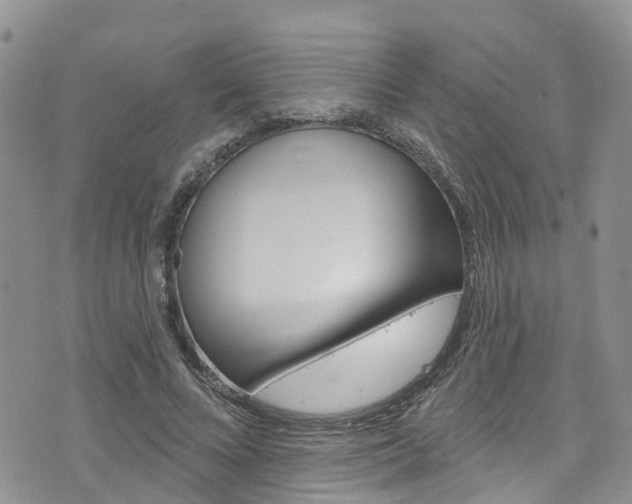 X0000074960688200609010945
