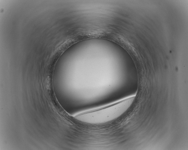 X0000074960689200609010945