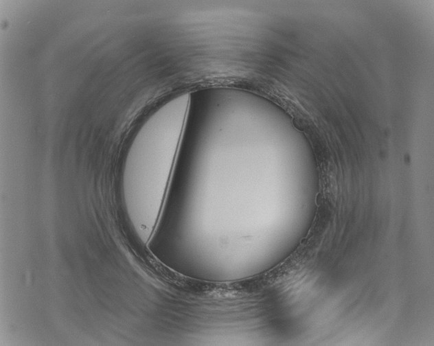 X0000074960742200609010944