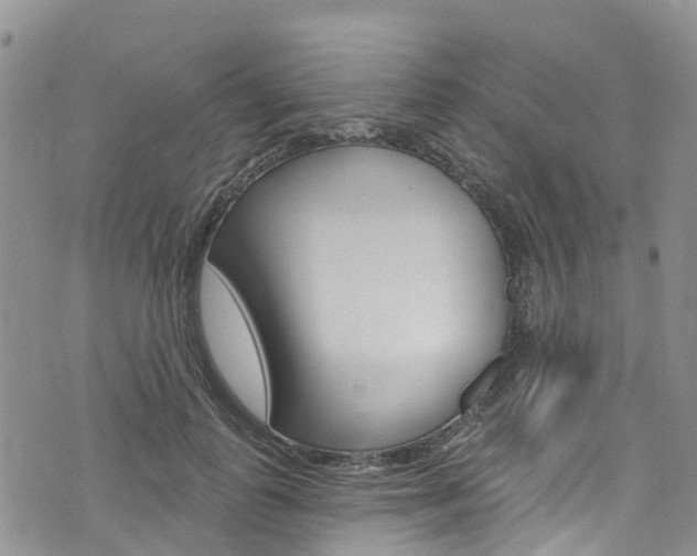 X0000074960747200609010944