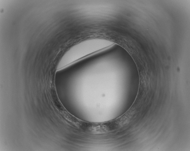 X0000074960752200609010945