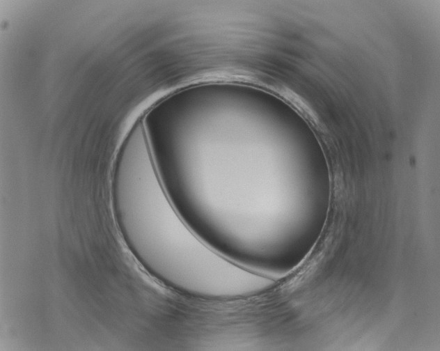 X0000074960854200609010943