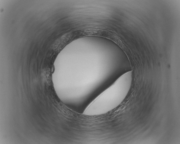 X0000074960867200609010942