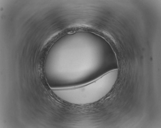 X0000074960872200609010942
