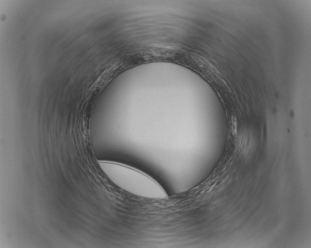 X0000074960915200609010941