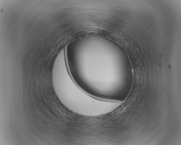 X0000074960916200609010941