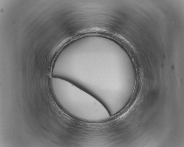X0000074960921200609010941