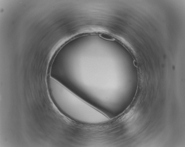 X0000074960943200609010941