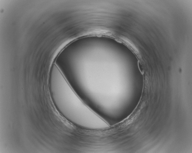 X0000074960948200609010942