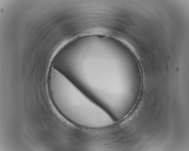 X0000074960949200609010942