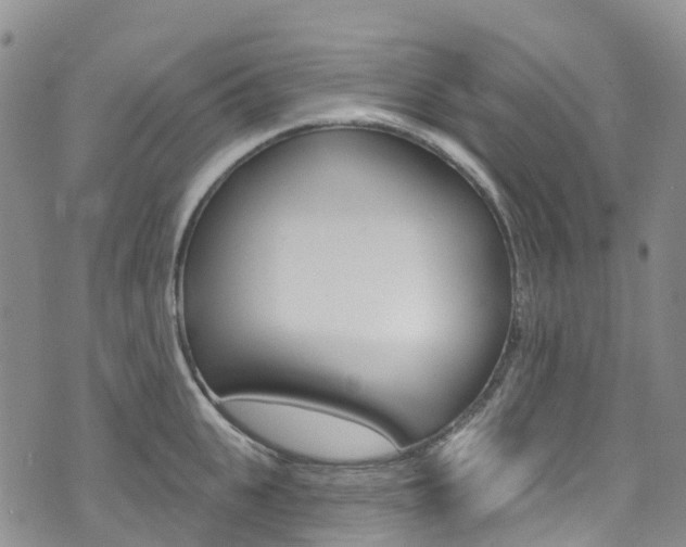 X0000074960951200609010942