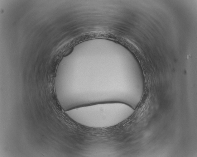 X0000074961015200609010939
