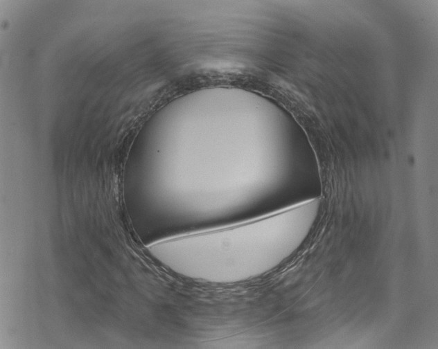 X0000074961061200609010939