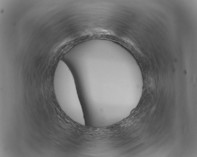 X0000074961063200609010939