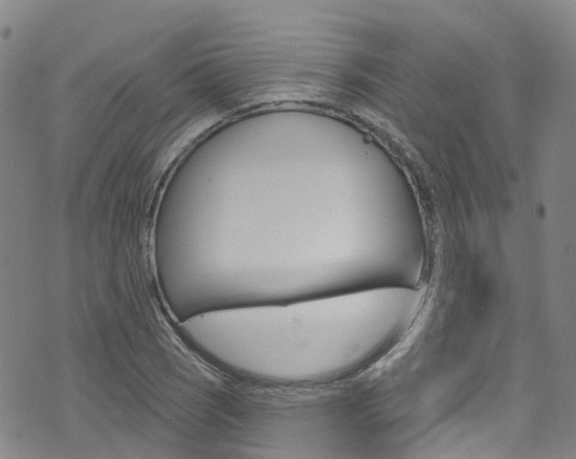 X0000074961121200609010938