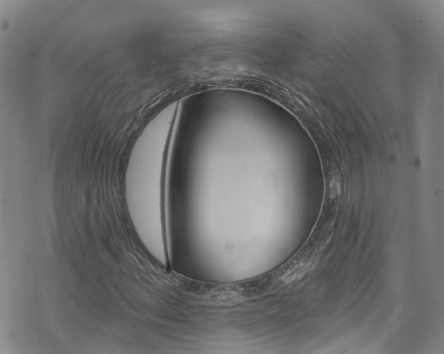 X0000074961156200609010938