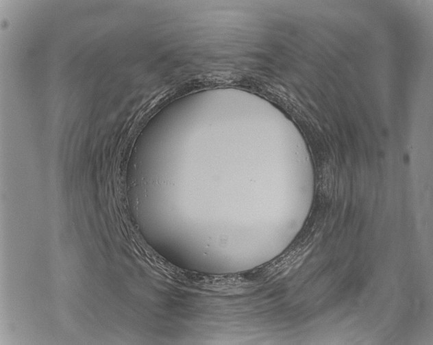 X0000074961201200609010936