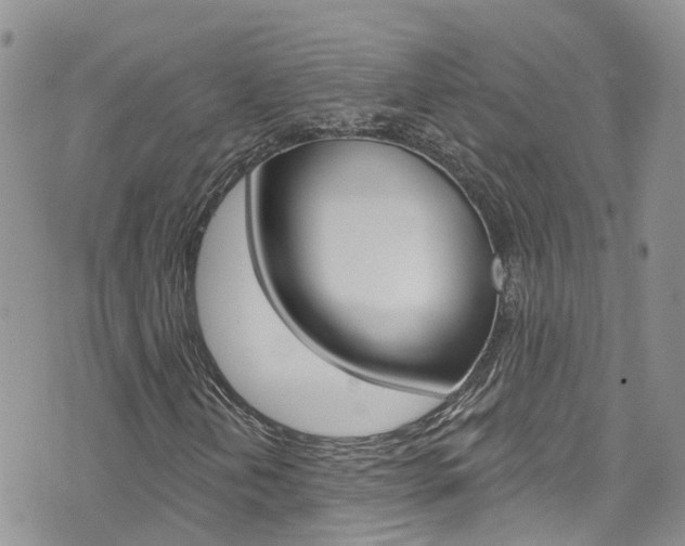 X0000074961202200609010936