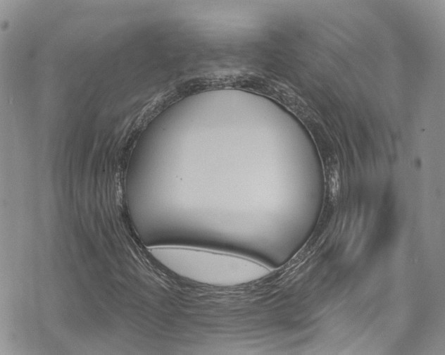 X0000074961204200609010936
